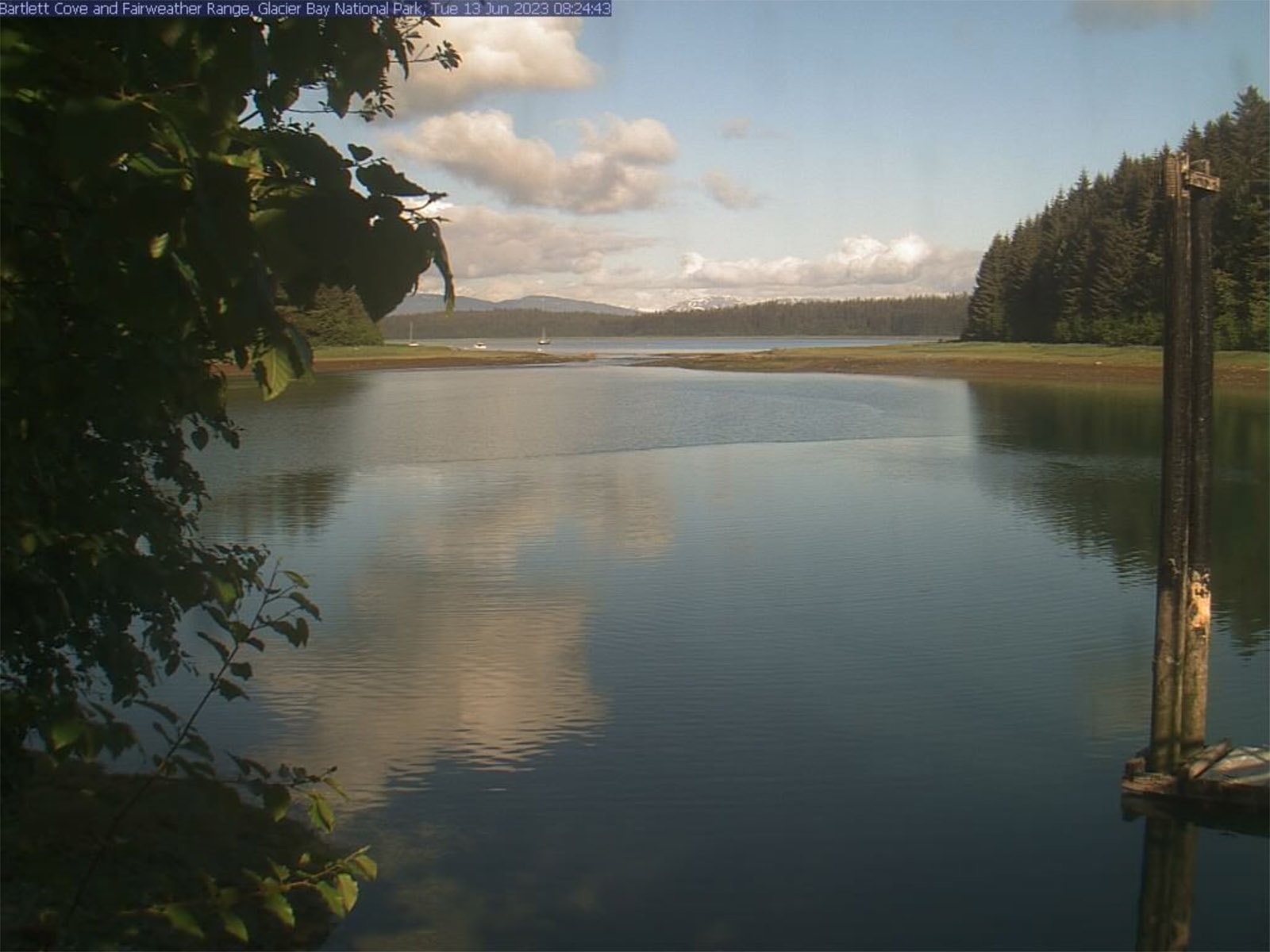 Park webcam image