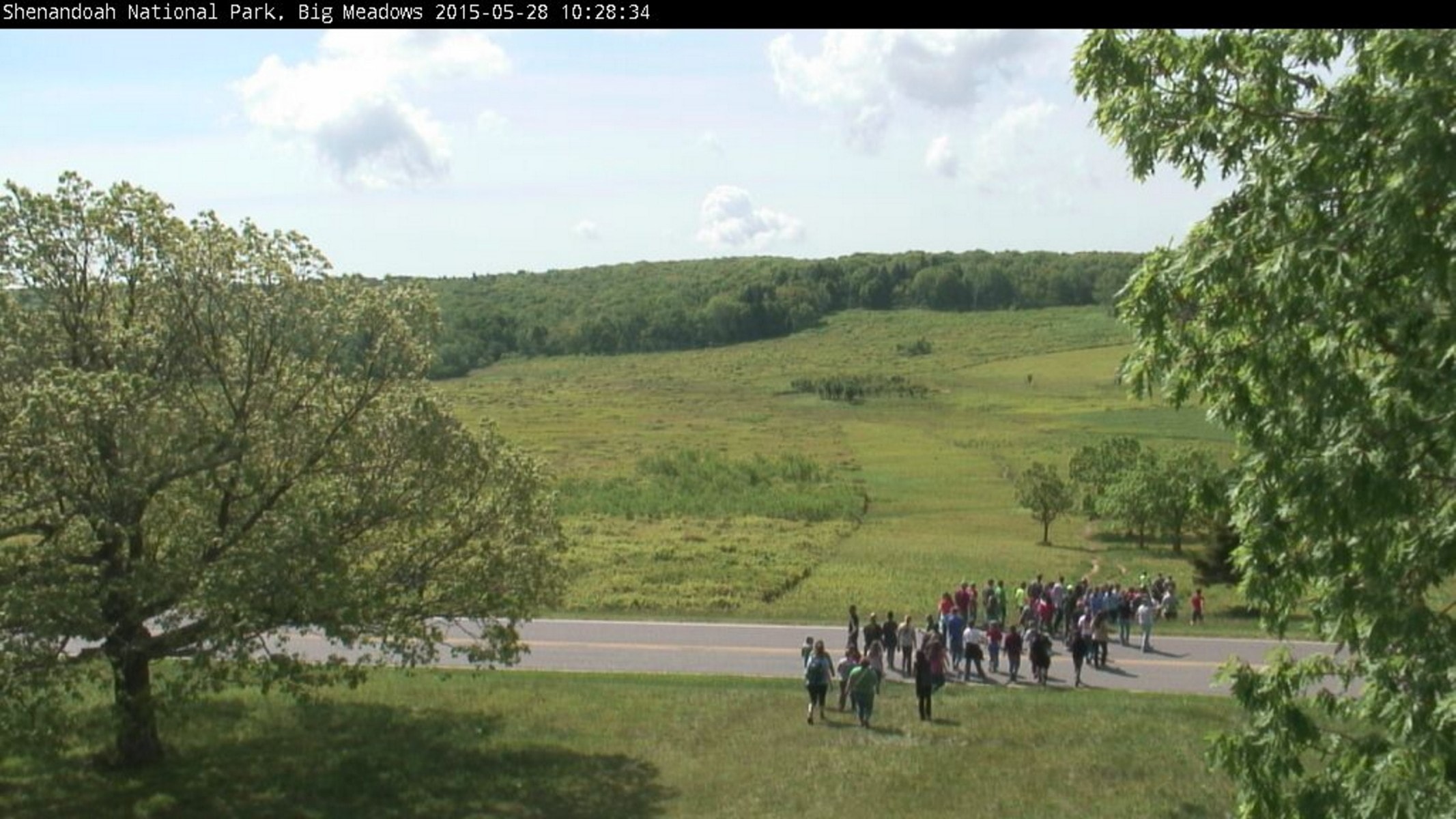 Park webcam image