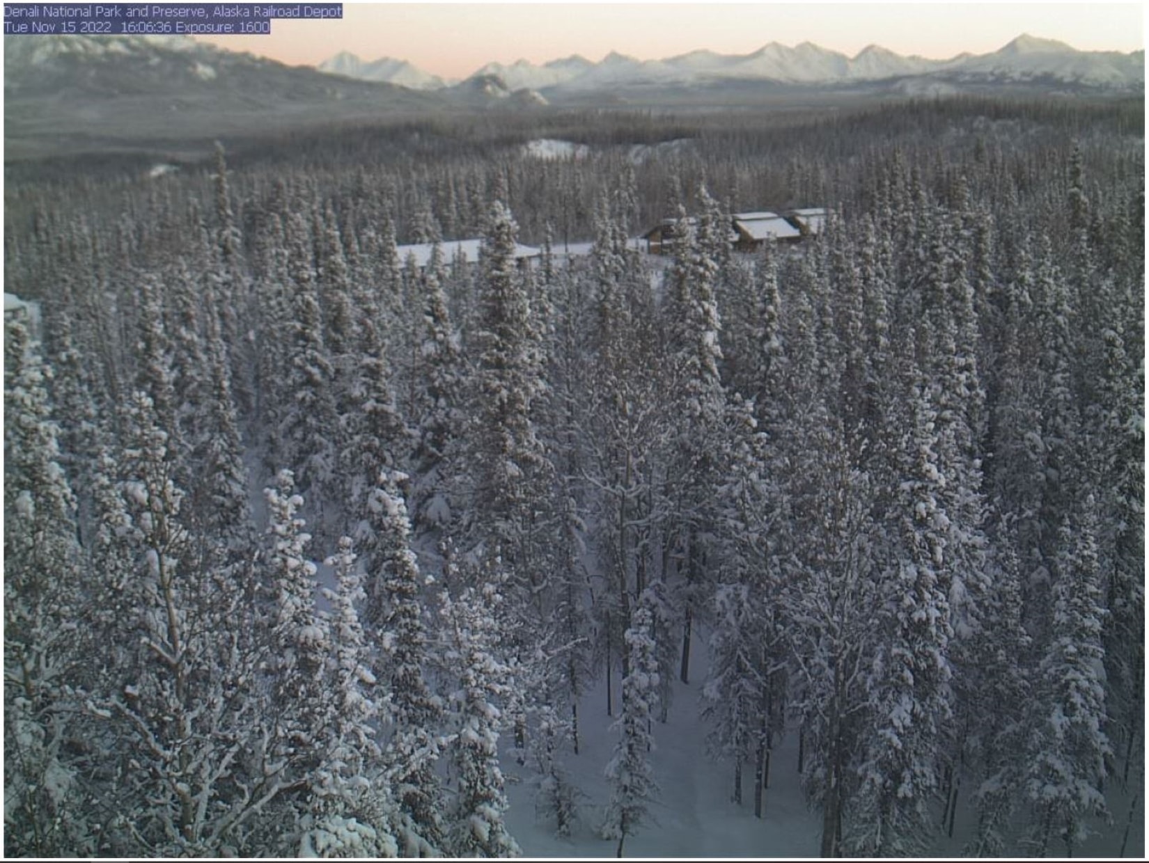 Park webcam image