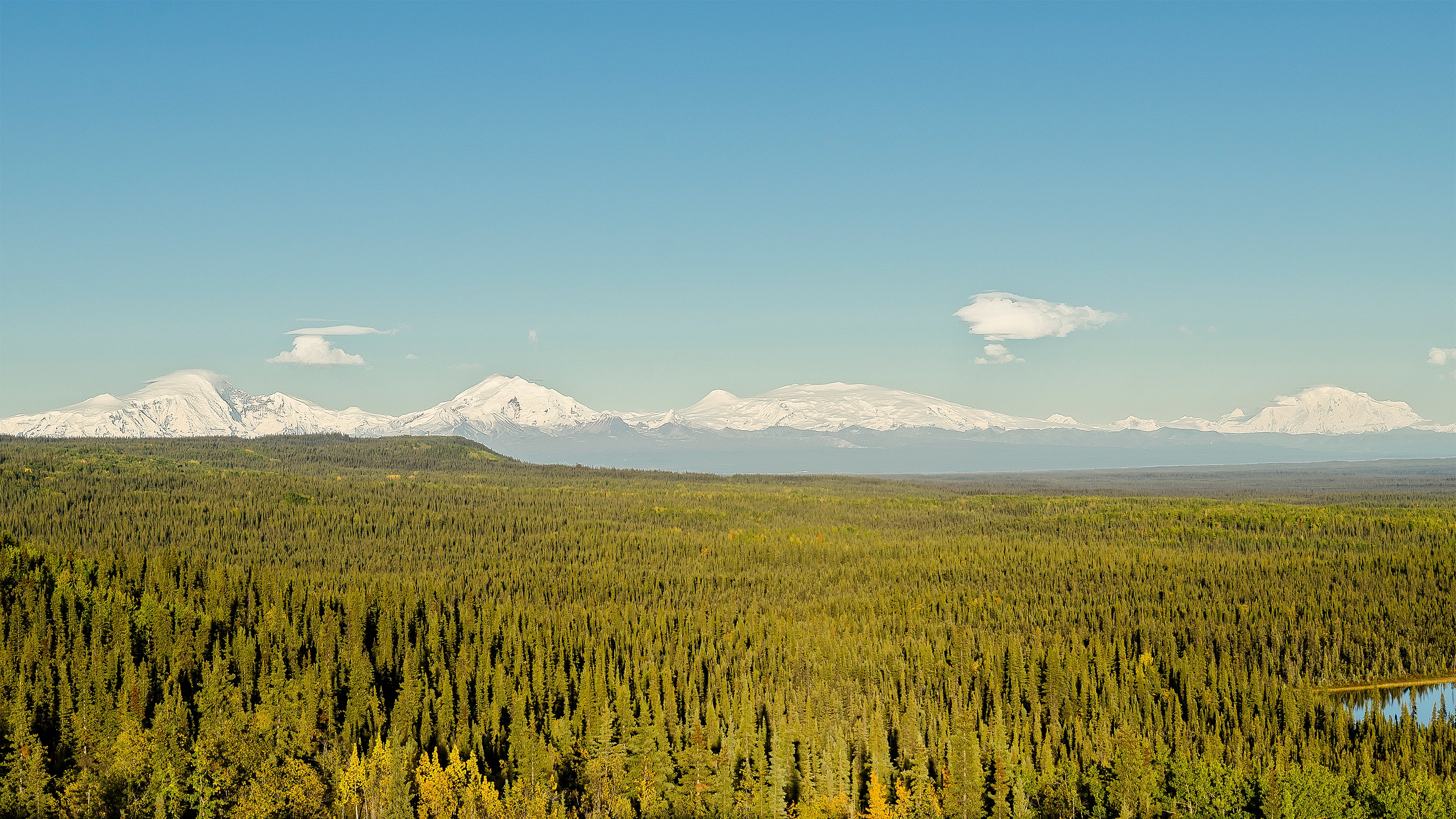 Four large snow covered mountains rise above dense forest into blue skies.