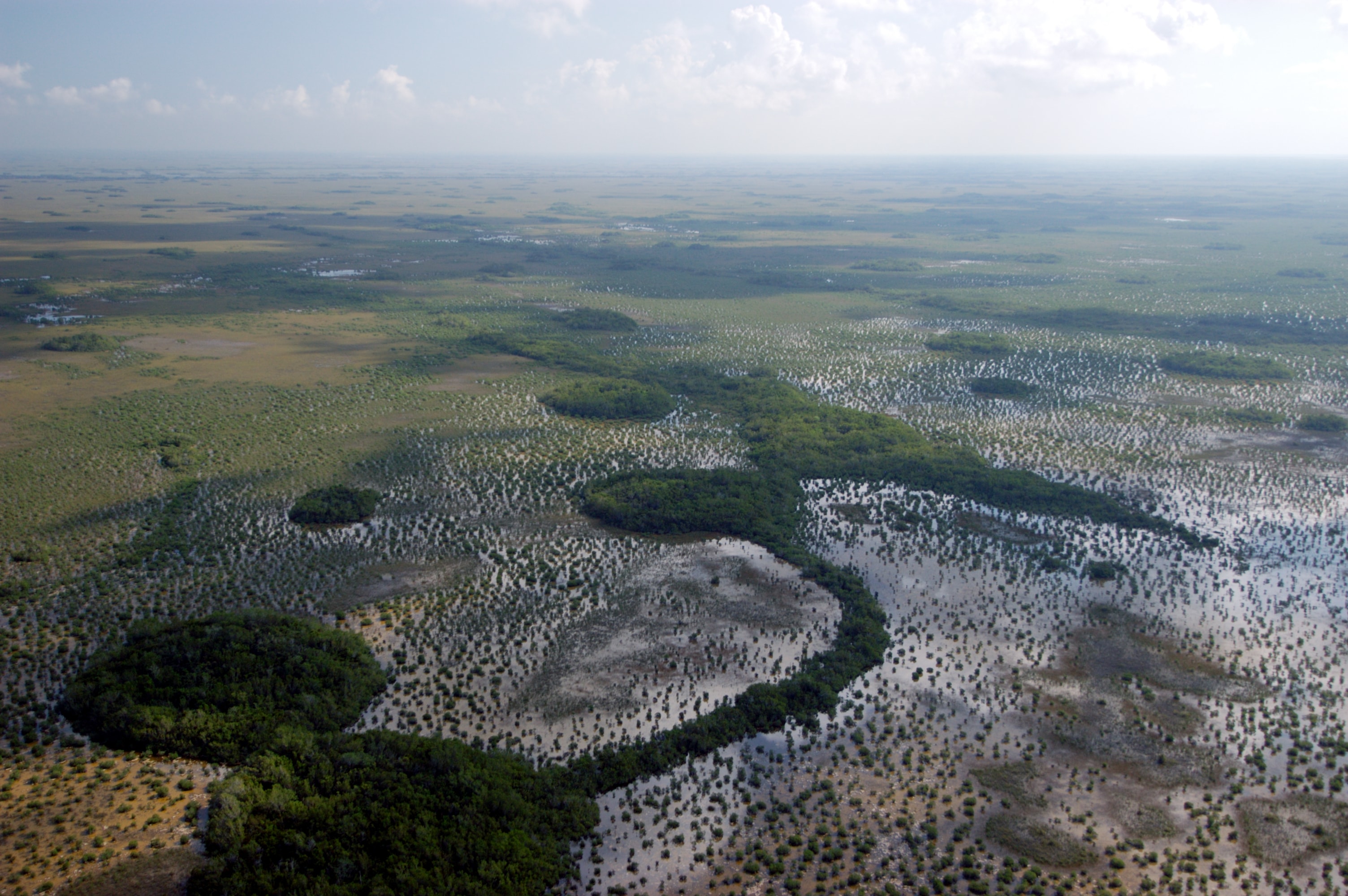 An aerial view of the landscape transition from Sawgrass to Florida Bay.