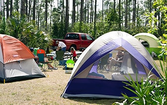 Three tents are put up along the Long Pine Key campsite.