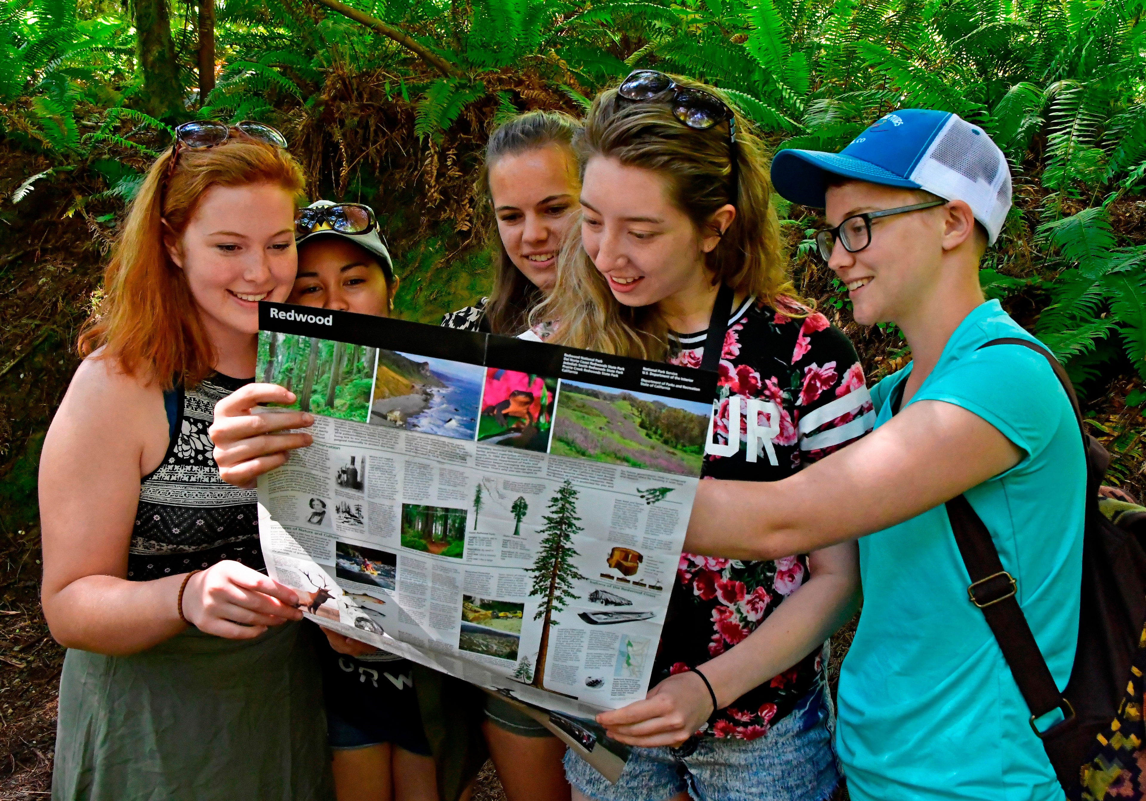 Five young women read the park map.