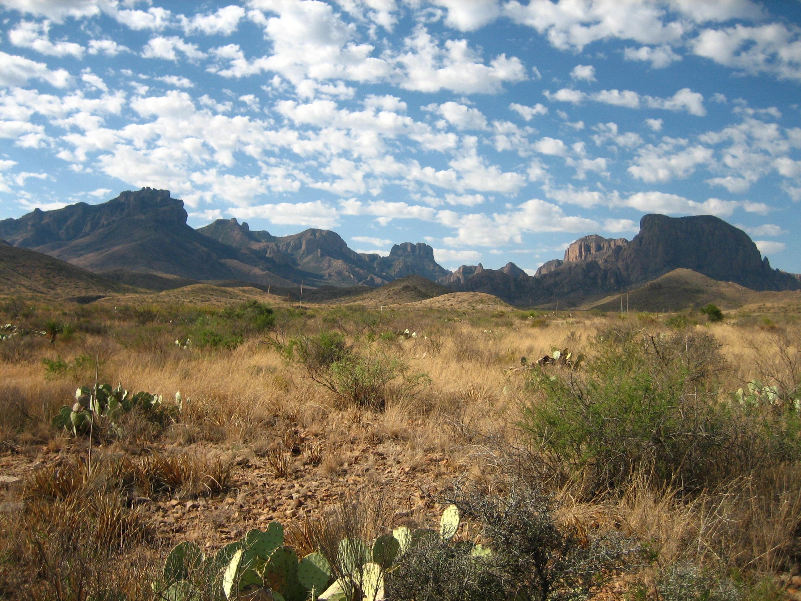 Desert Scenery