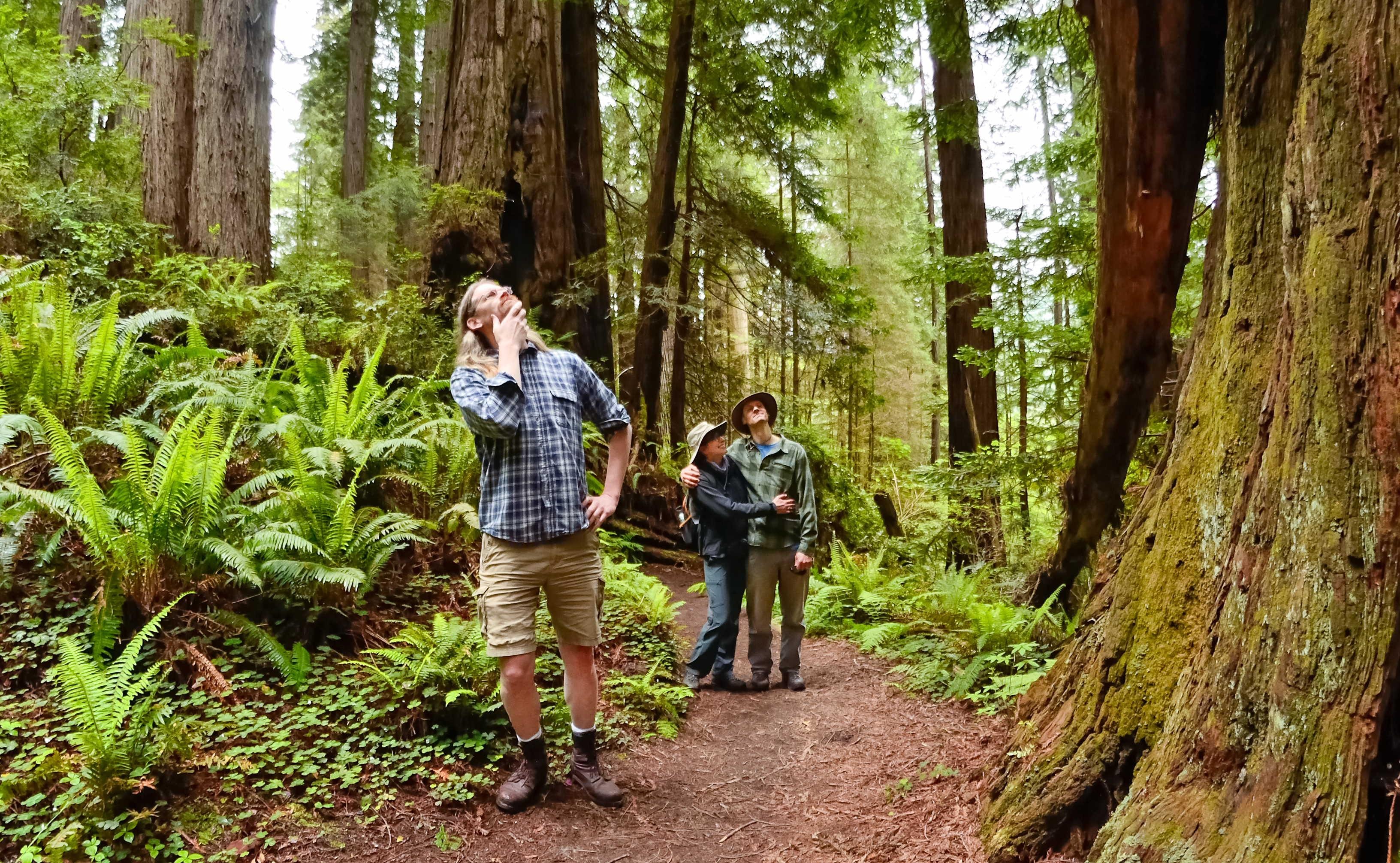 Three adults stand and look curiously toward the tree tops