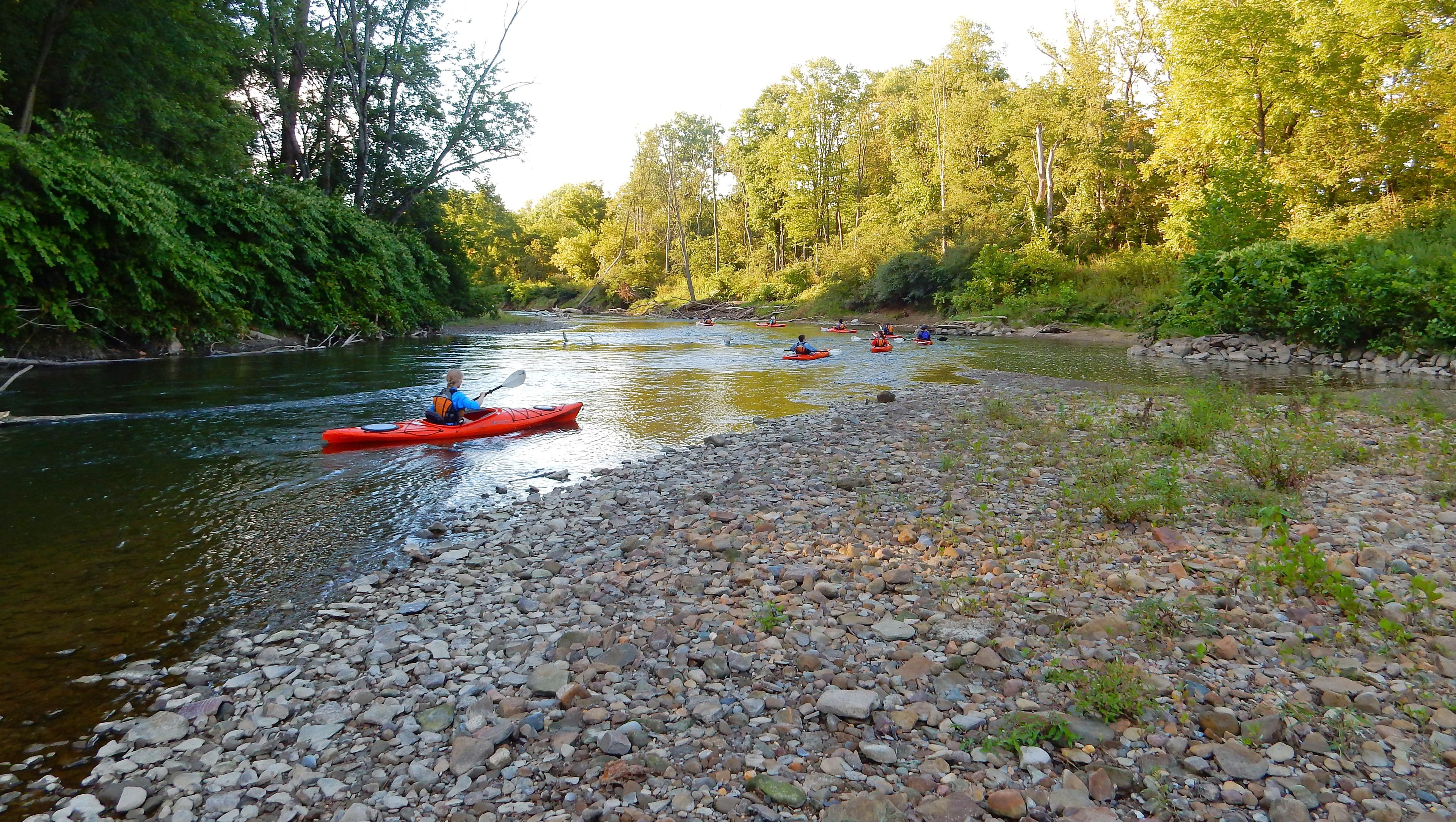 People in bright orange kayaks paddle around a bend in a river, past green trees and a rocky shore.